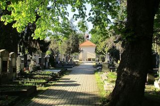 Anička Slováčková není první. Naše země přišla předčasně o celou řadu talentovaných umělkyň - Médium.cz